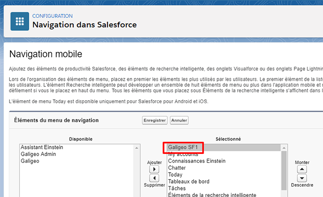Galigeo for Salesforce Admin